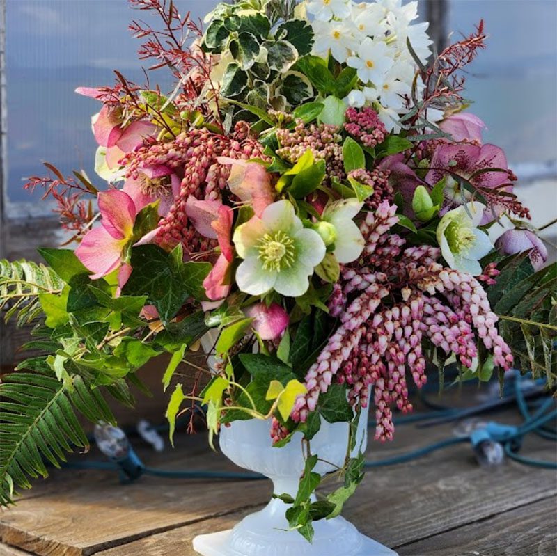 Hollyhock Acres Greenhouse Plant Sale